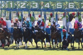 Kaiyun(中国)开云-希腊女篮在欧洲锦标赛中再夺荣誉，荣耀之火永不熄灭，希腊女篮世界排名