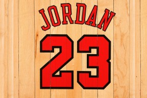 kaiyun体育app-塔特的快速反击与精准传球成为袋鼠队得分法宝