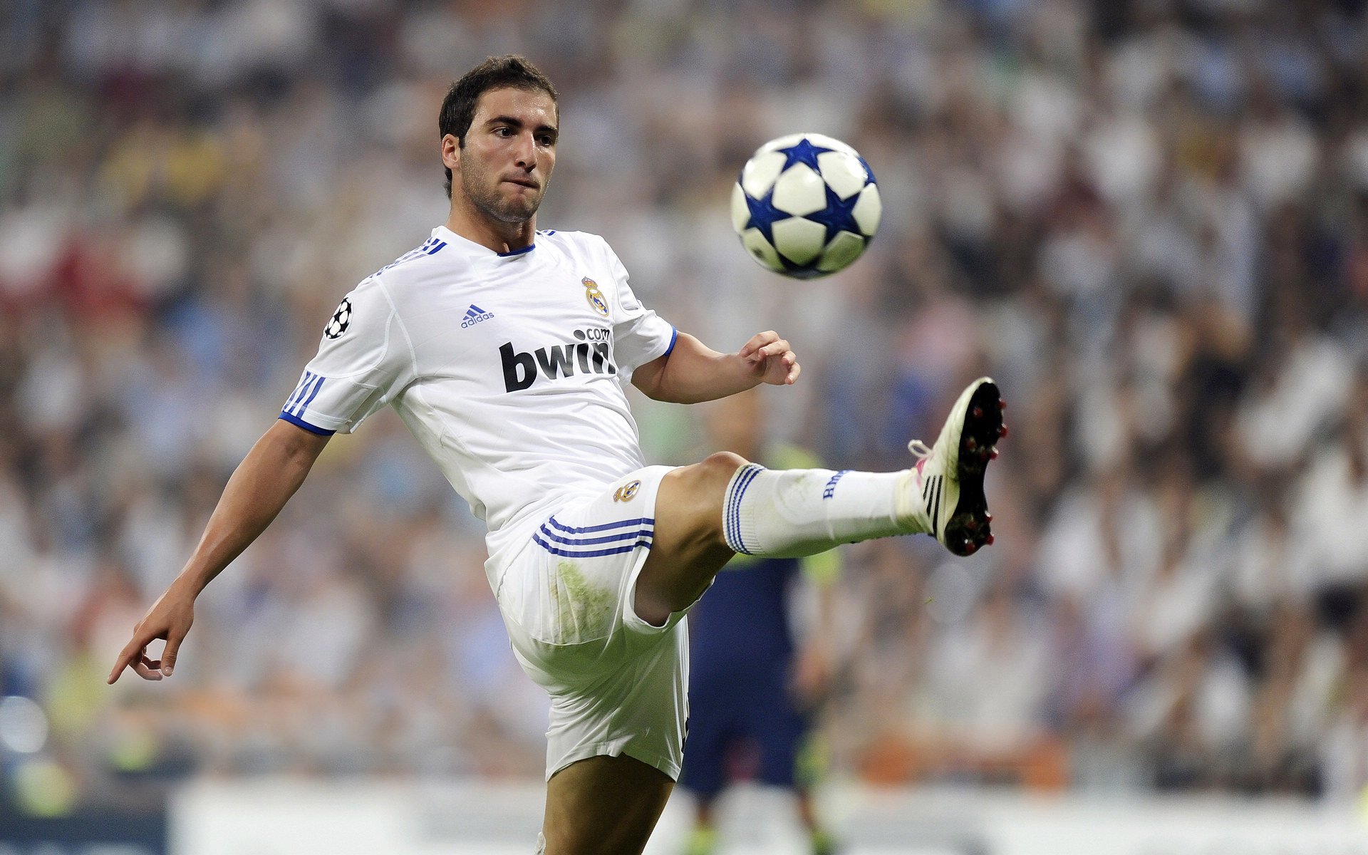 开云体育俱乐部官网-“广州队青年队夺冠，后备力量雄厚”，广州青年队资讯